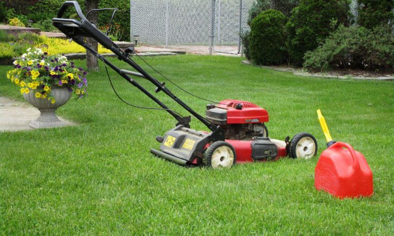 Maintaining Victa Lawn Mower Air Filters: Tips for a Greener Lawn