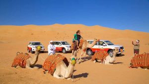 Why You Should Go on Dubai Desert Safari?