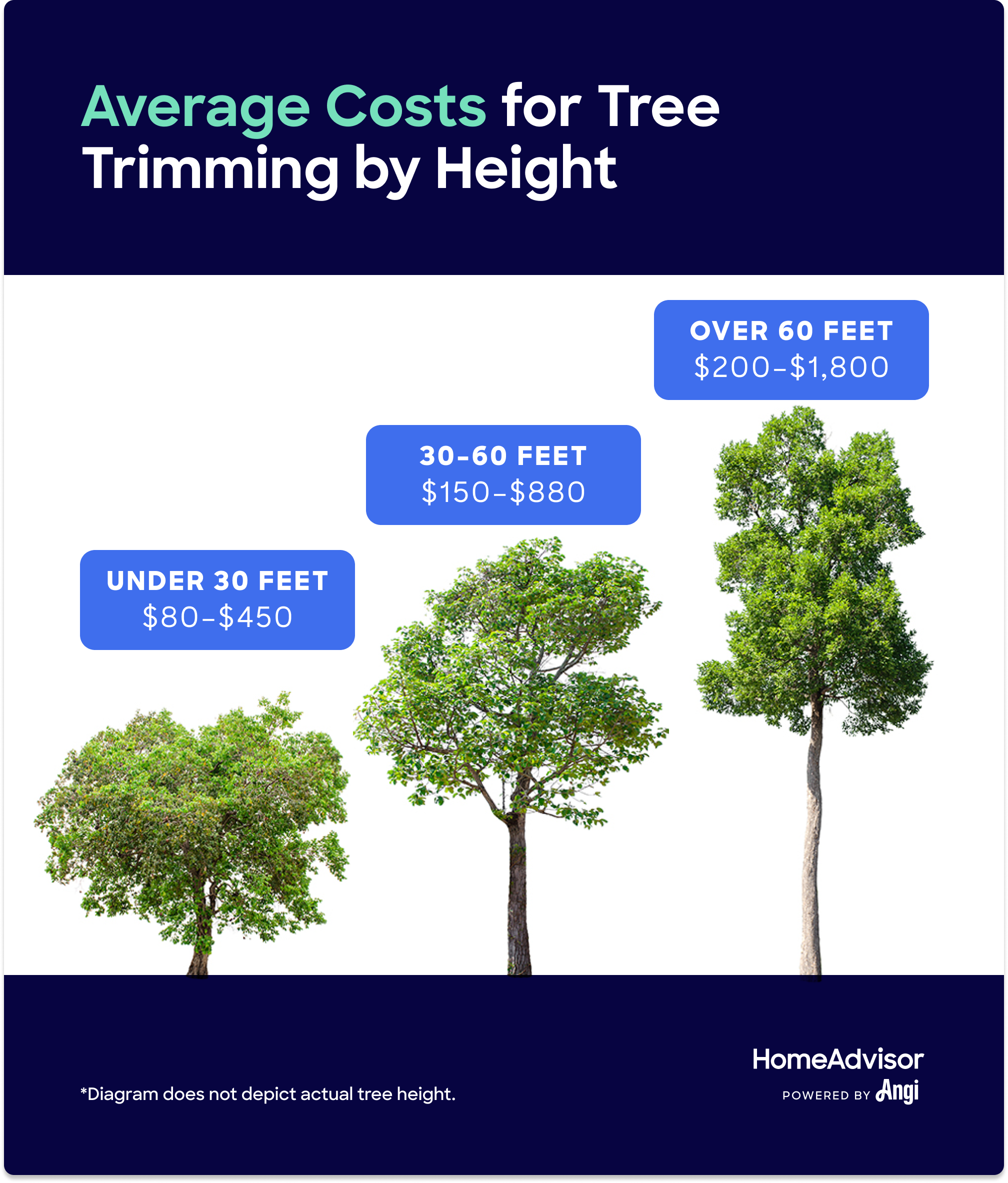 Tree Removal Cost Calculator: A Comprehensive Guide